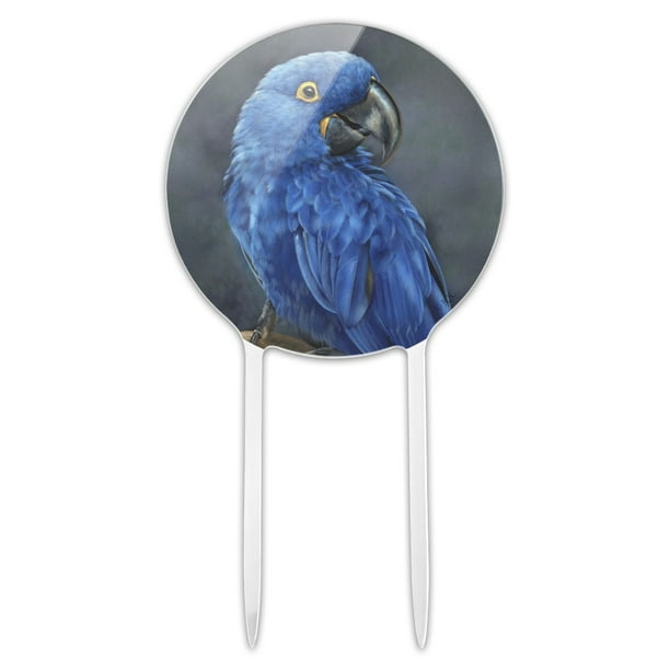 parrot macaw colourful custom bird Personalised Edible Cake Topper Wafer Icing parrot macaw colourful custom bird Personalised Edible Cake Topper Wafer Icing